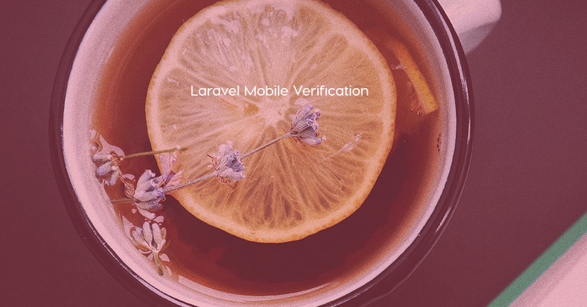 Laravel Mobile Verification