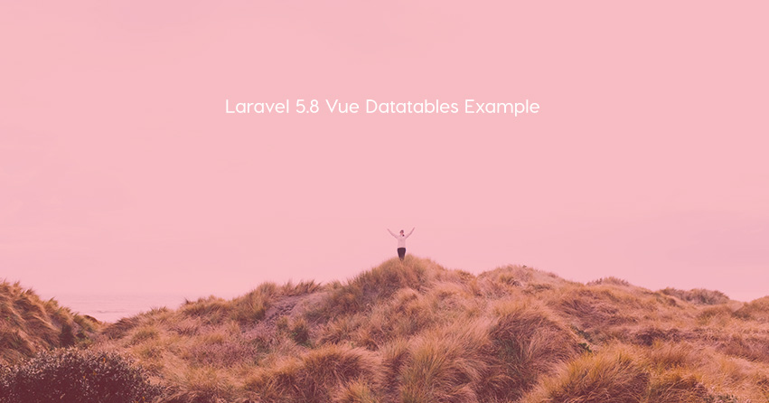 Laravel 5.8 Vue Datatables Example