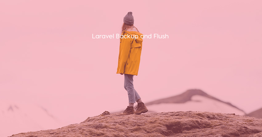 Laravel Backup and Flush