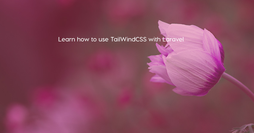 Learn how to use TailWindCSS with Laravel