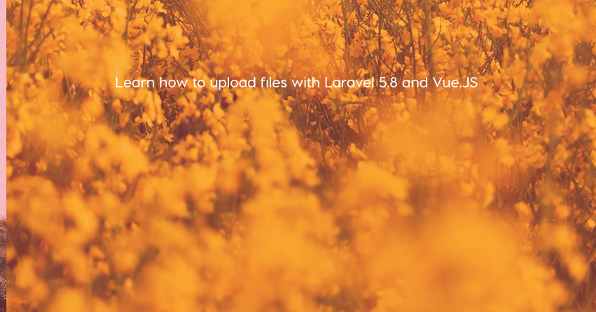 Learn how to upload files with Laravel 5.8 and Vue.JS