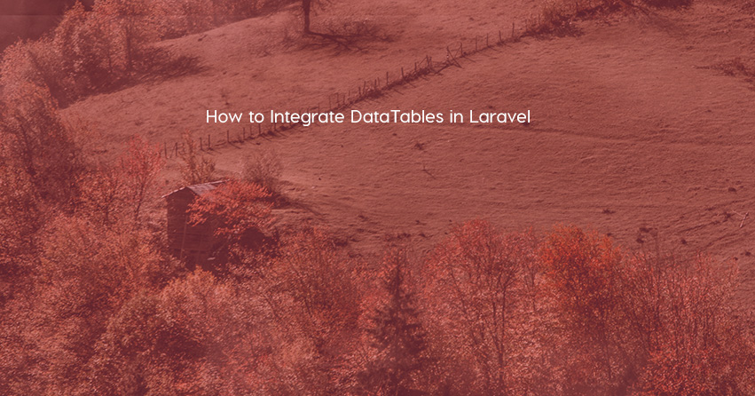 How to Integrate DataTables in Laravel