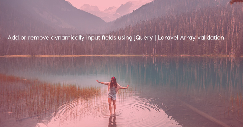 Add or remove dynamically input fields using jQuery | Laravel Array validation