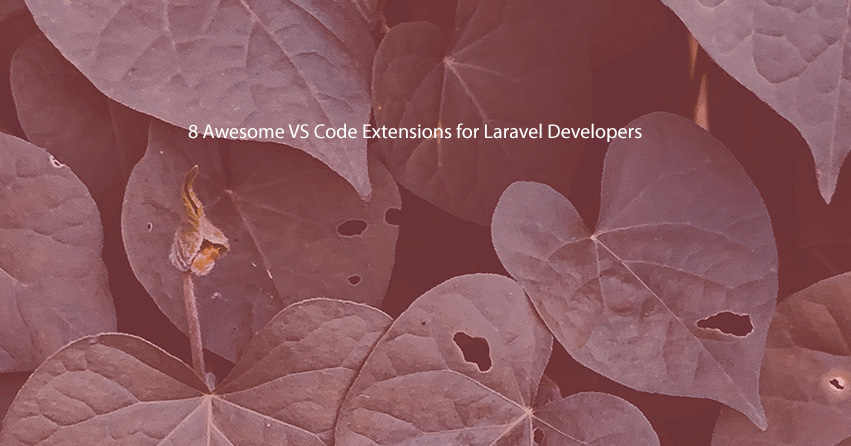 8 Awesome VS Code Extensions for Laravel Developers