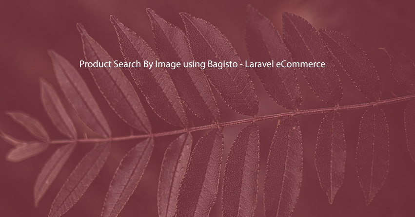 Product Search By Image using Bagisto - Laravel eCommerce